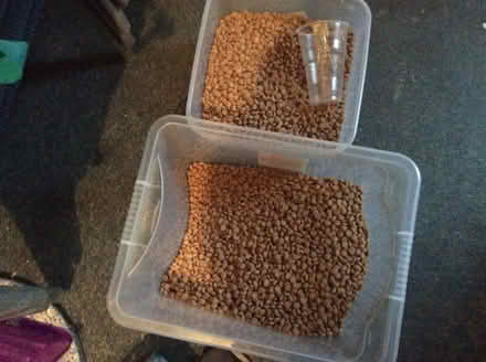 Photo of free Dry dog food (Walton Le Dale PR5) #1