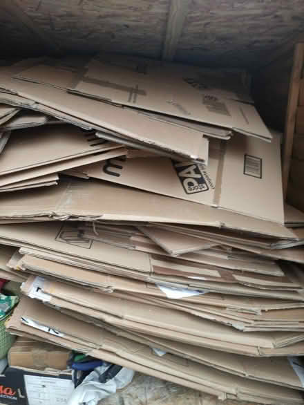 Photo of free Moving boxes and bubble wrap (Crystal Palace SE19) #1
