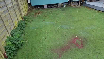 Photo of free Artificial grass approx 5m x 5m (Ludlow SY8) #1