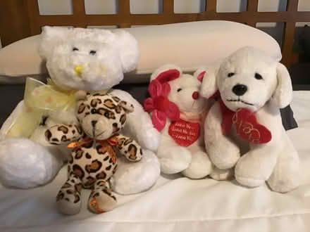 Photo of free Stuffed animals (Park slope Brooklyn 11215) #1