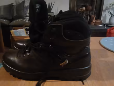 Photo of free Ladies Hiking Boots (Drumbrae EH4 8) #1