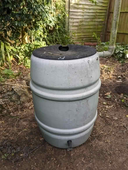 Photo of free Large water butt (Strawberry Hill TW1) #1