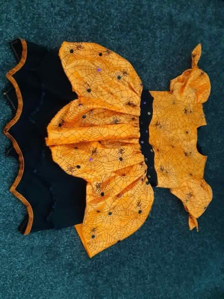 Photo of free Halloween dress 3-5years (EH25 Bilston) #1