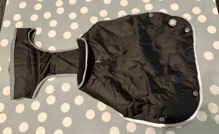 Photo of free Small dog coat (Bishop’s Stortford) #1