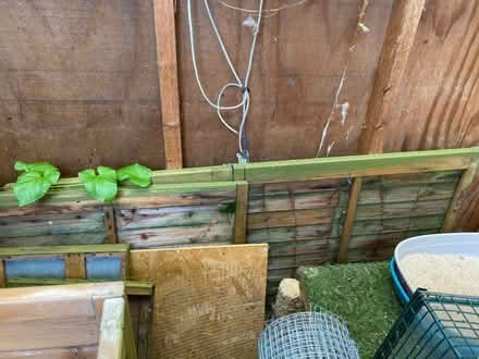 Photo of free Chicken house (Horsforth LS18) #2