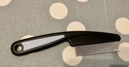 Photo of free Fine-toothed dog grooming comb (Bishop’s Stortford) #1