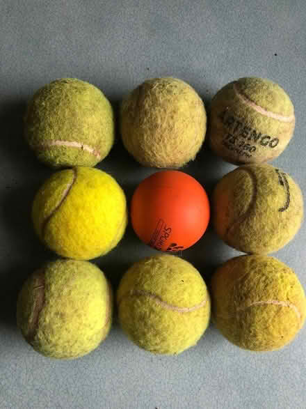 Photo of free 9 Dog tennis balls (Rottingdean) #1