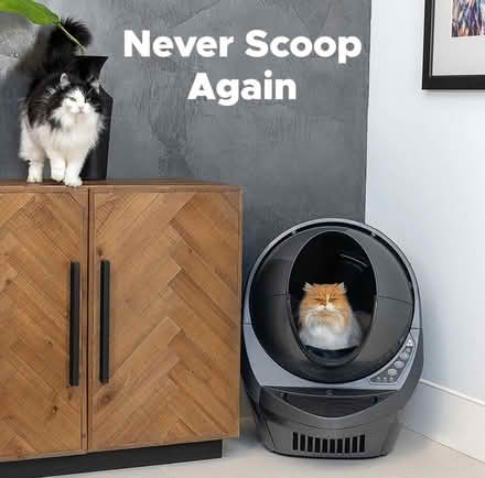 Photo of free Litter robot 3 (nashua nh) #3