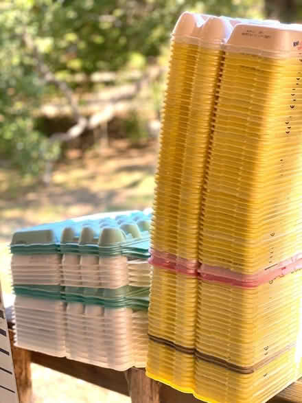 Photo of free Egg Cartons (Northwest Collinsville Texas) #1