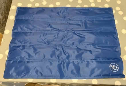 Photo of free Small dog cooling mat (Bishop’s Stortford) #1