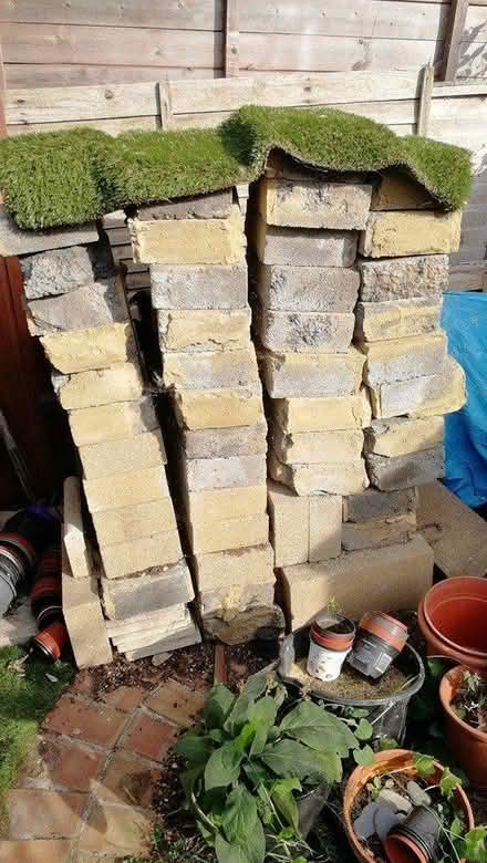 Photo of free Breeze blocks (CO2 Colchester, Mersea Road) #1