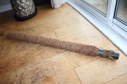 Photo of free Plant Moss Support Pole - Support tall and climbing plants (Silverknowes EH4) #2