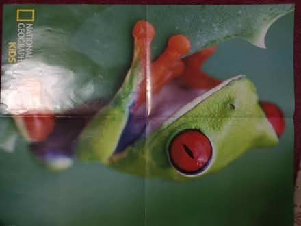 Photo of free Posters from National Geographic Kids (City Point DE24) #2
