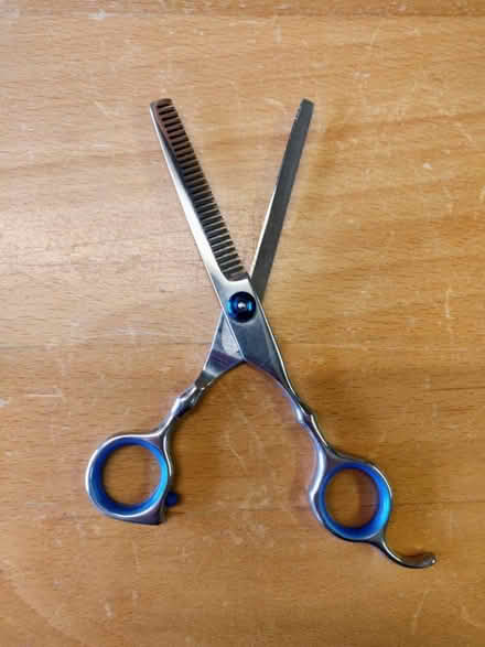 Photo of free Stainless steel thinning scissors (Didcot OX11) #2