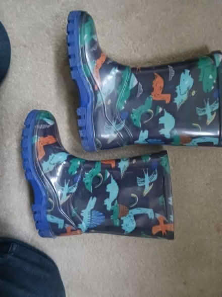 Photo of free Wellington boots (Morley DE21) #2