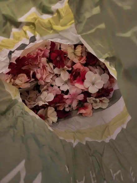 Photo of free Assorted fake flower heads (Richmond TW10) #1