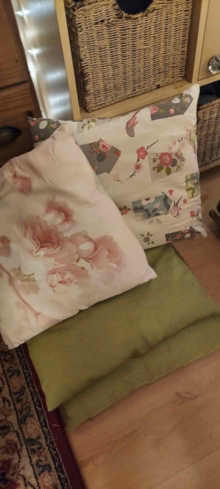 Photo of free Old cushions (west malvern) #1