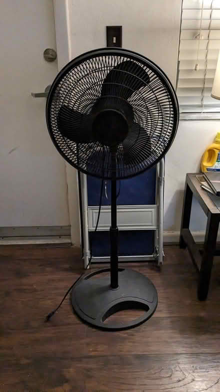Photo of free Black oscillating adjustable fan (Hallandale Beach) #1