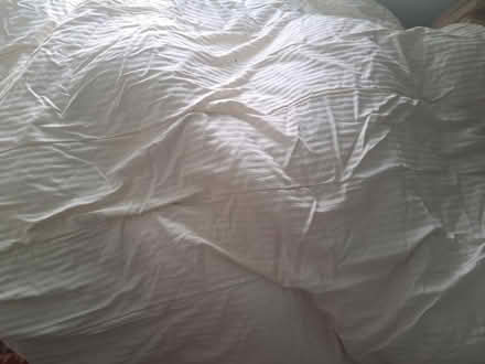 Photo of free Double duvet (East Dulwich SE22) #1