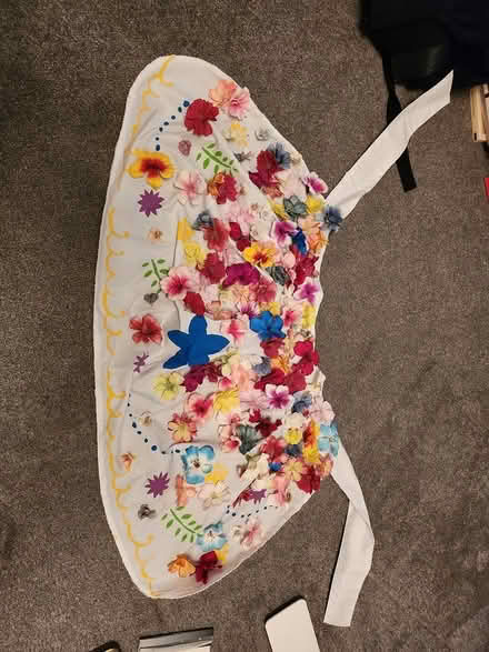 Photo of free Midsommar costume (Richmond TW10) #3