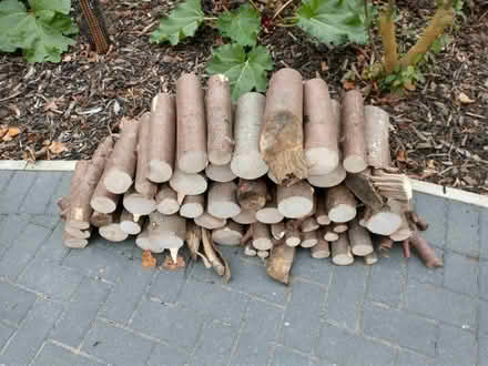 Photo of free Firewood (Sycamore) NOW CUT INTO LOGS (Caversham Heights RG4) #1