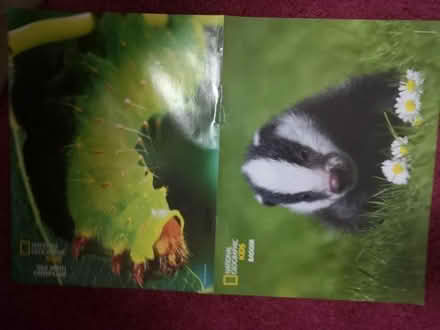 Photo of free Posters from National Geographic Kids (City Point DE24) #3