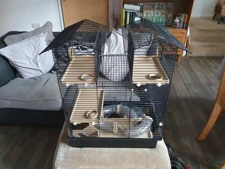 Photo of free Hamster cage (Ketley) #1