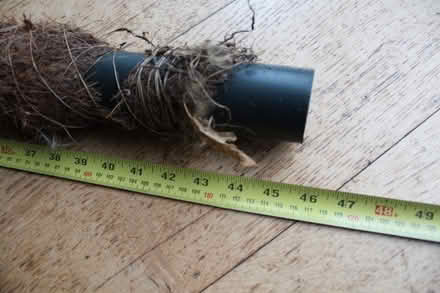 Photo of free Plant Moss Support Pole - Support tall and climbing plants (Silverknowes EH4) #1