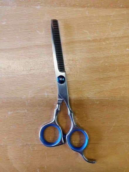Photo of free Stainless steel thinning scissors (Didcot OX11) #1