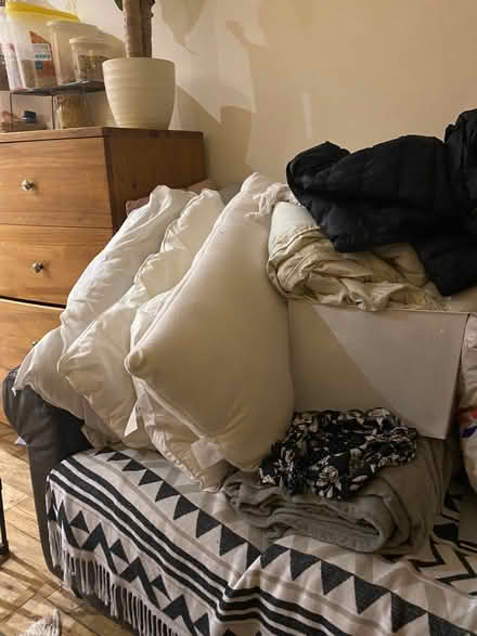 Photo of free Misc blankets and pillows (Harringay N4) #1