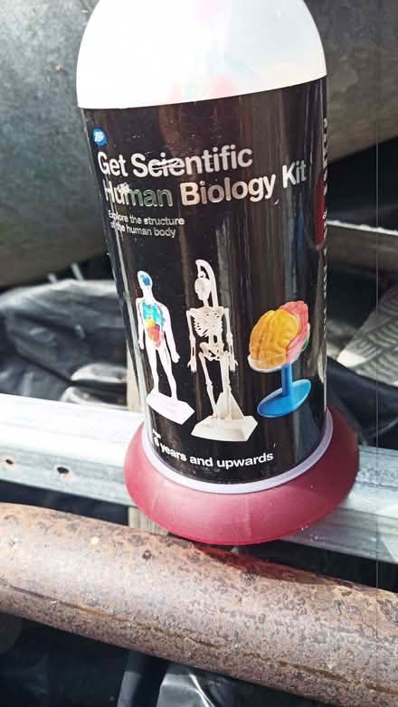 Photo of free Mini model skeleton (Blacklands TN34) #3
