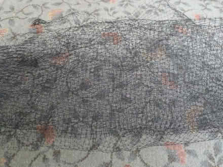 Photo of free Garden Seed Netting and 2 Anti-Frost Bags (Hassocks BN6) #3