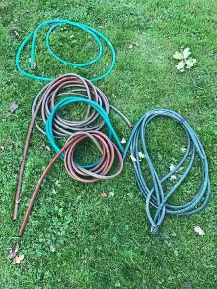 Photo of free Hoses (Sandhurst TN18) #1