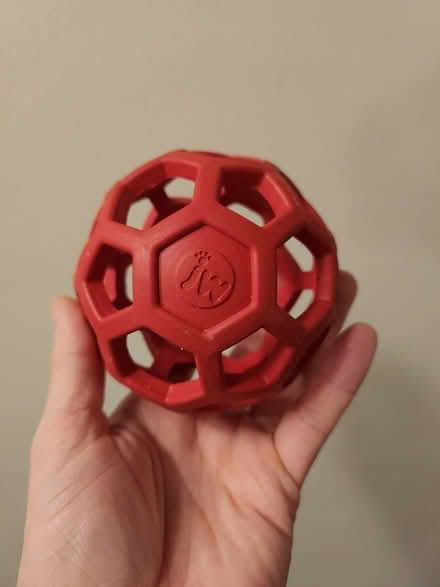 Photo of free Medium treat ball (Richmond TW10) #1