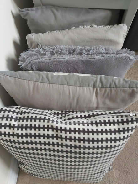 Photo of free Grey cushions (Handsworth S13) #1