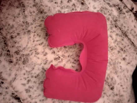 Photo of free Neck pillow (Ringoes) #1