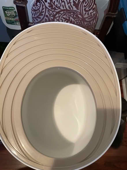 Photo of free Large Litter box (Flushing) #2