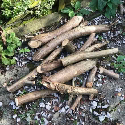 Photo of free Fire Wood Pine Logs For Burning (Hazlemere HP15) #1