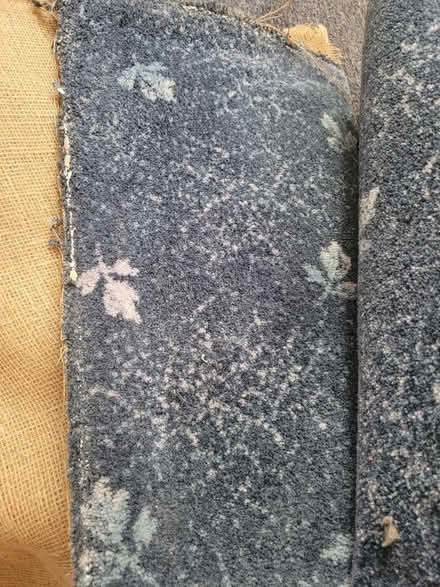 Photo of free Carpet (Newport, Shrops TF10) #1