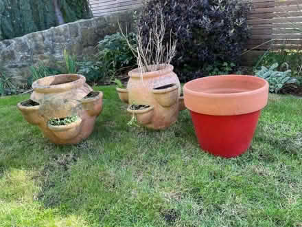 Photo of free Ceramic pots (Buckland Dinham BA11) #1