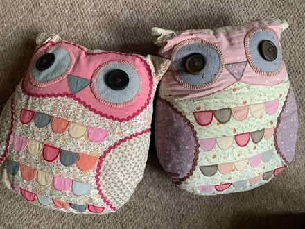 Photo of free Owl cushions (Kingsmead) #1
