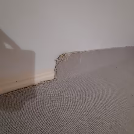 Photo of free Piece of carpet (Pinehurst SG13) #1
