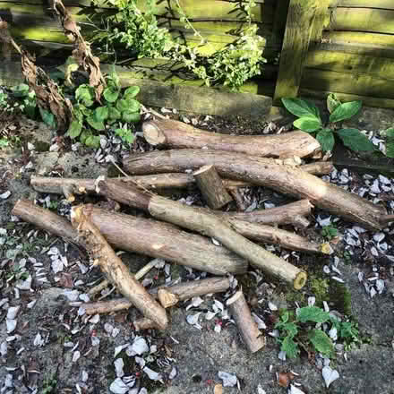 Photo of free Fire Wood Pine Logs For Burning (Hazlemere HP15) #2