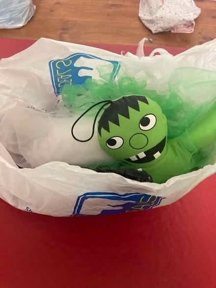 Photo of free Halloween decorations (Walkley) #1