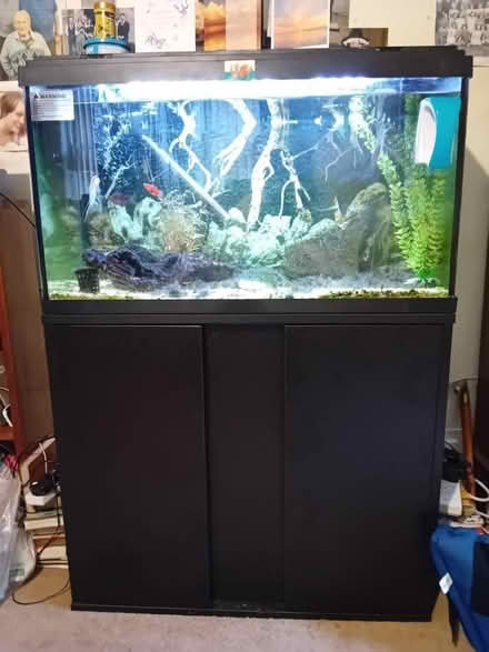 Photo of free Fish tank and stand (Penrith CA11) #1