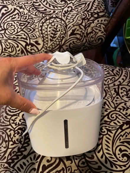 Photo of free Pet Water Fountain (Flushing) #1