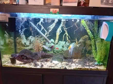 Photo of free Fish tank and stand (Penrith CA11) #2