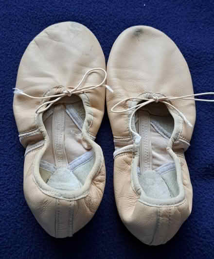 Photo of free Ballet shoes (used) (South Tonbridge TN9) #1
