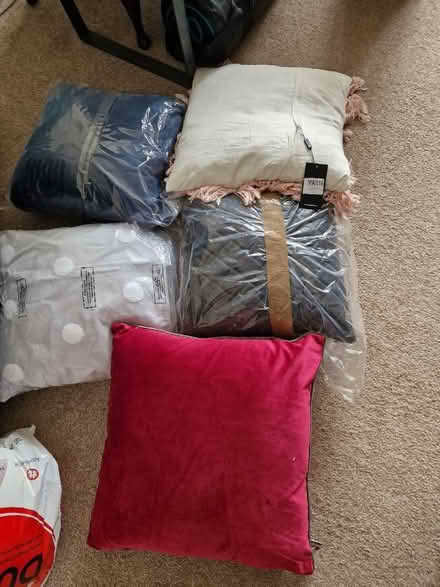 Photo of free 5 cushions (Cherry Willingham LN3) #1