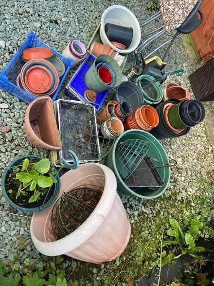 Photo of free Plant pots, tubs, hanging baskets, greenhouse stools (Newbiggin CA11) #3